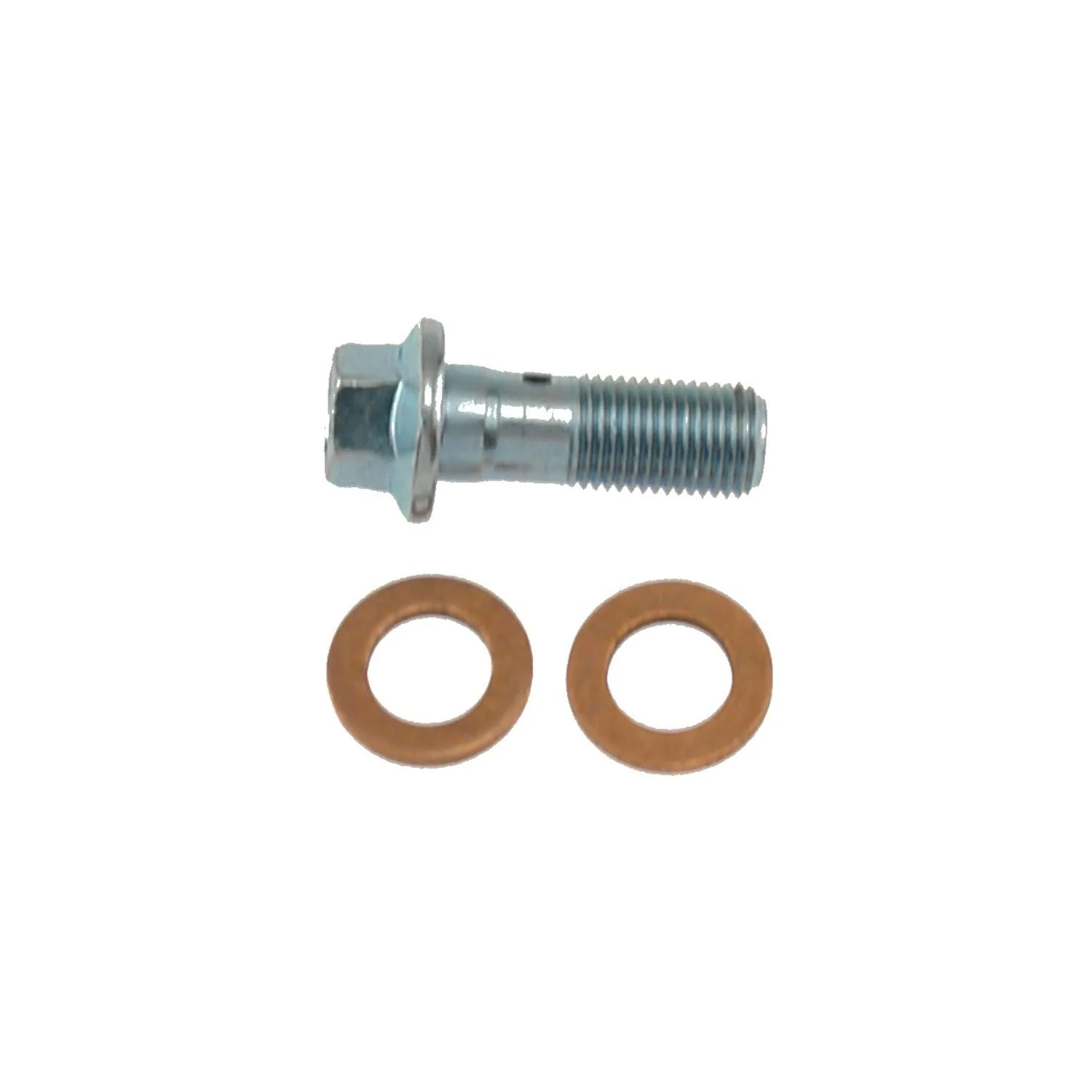 Chevy Bolt EV Rear Brake Hydraulic Banjo Bolt, 2017-2019