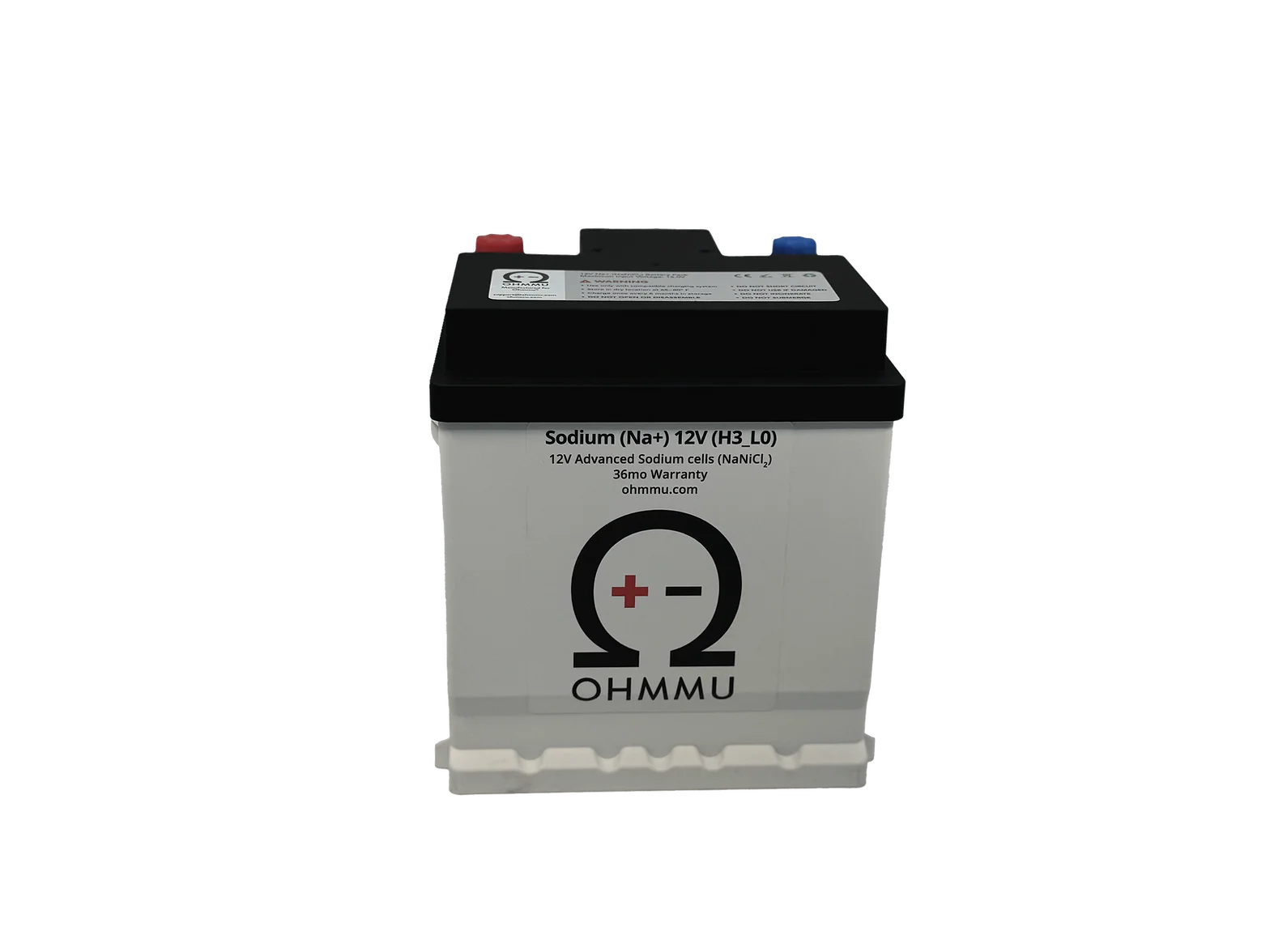 Mustang Mach-E 12 Volt Sodium Battery, 2021-2026