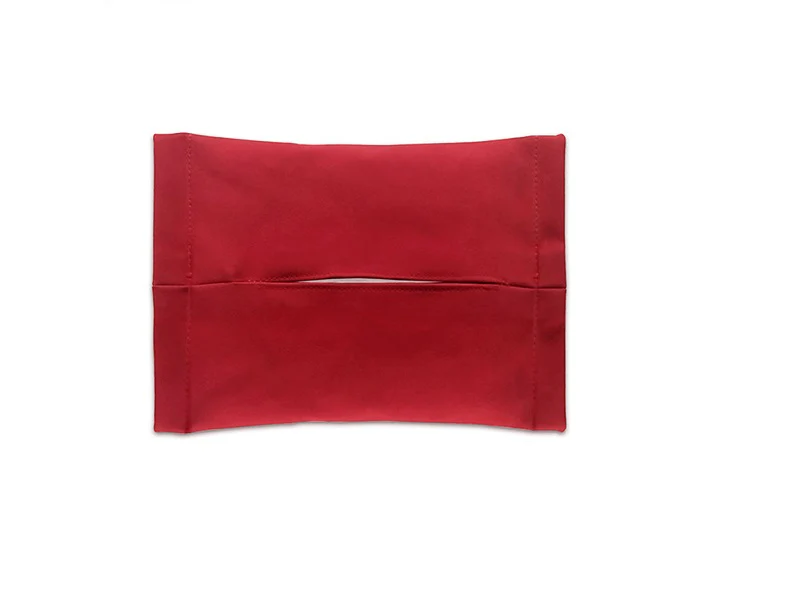Tesla Model 3, Y Hanging Hidden Tissue Box Holder, Behind Center Screen - Image 11